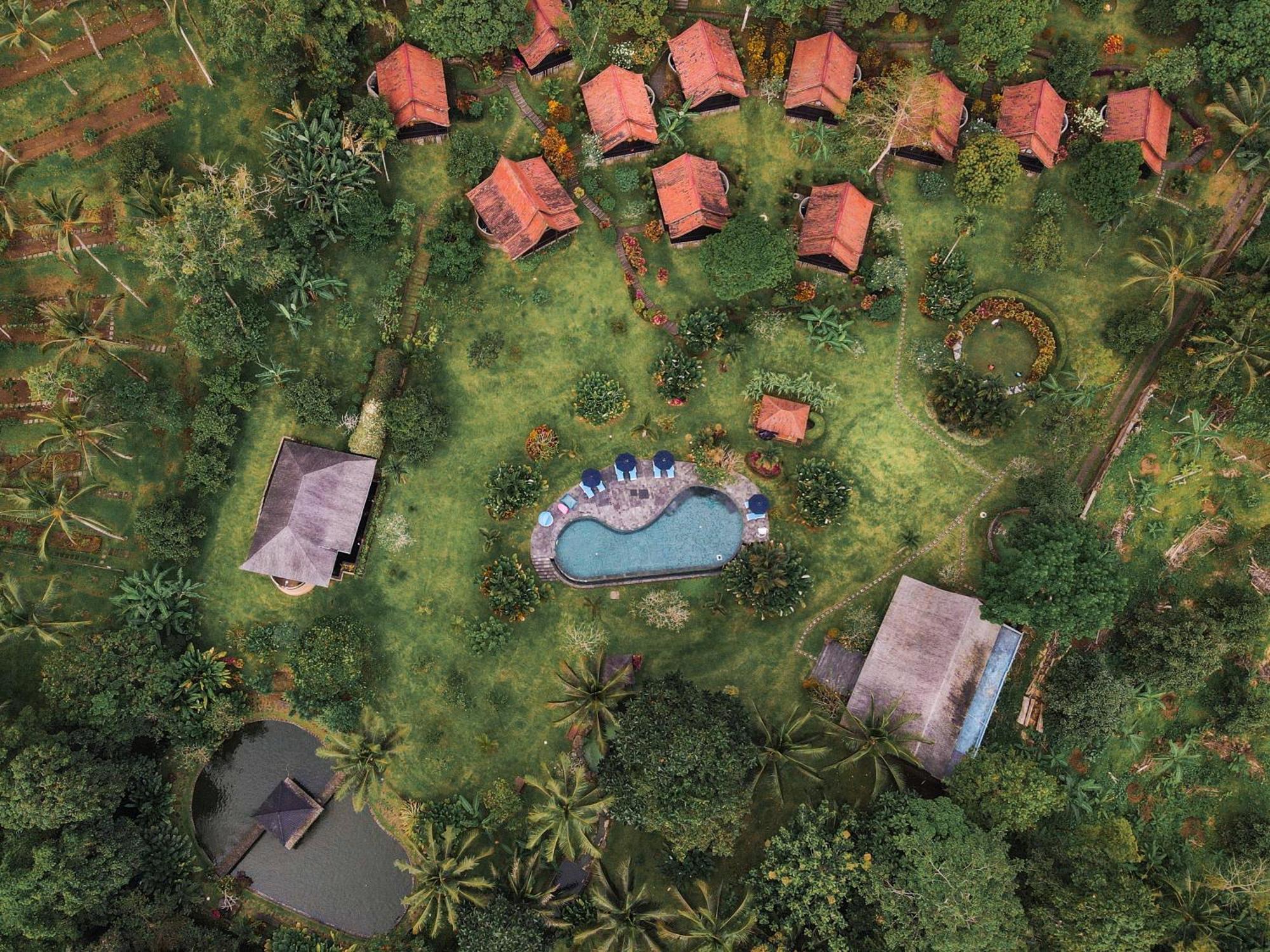 Ferienwohnung Bali Palms Selemadeg Exterior foto